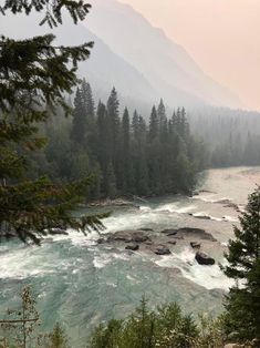 a river with rapids and pine trees in the foreground on a foggy day