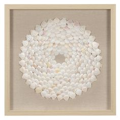 a framed art piece with seashells arranged in a circle