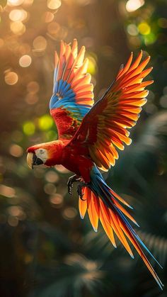 a red and blue parrot flying through the air