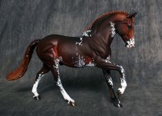 a brown horse with white spots on it's face and tail, standing in front of a gray background