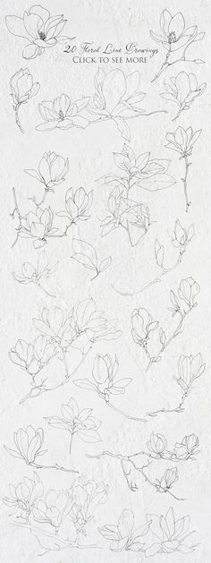 some flowers are drawn in pencil on paper