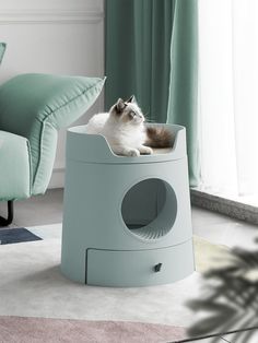 a cat sitting on top of a litter box