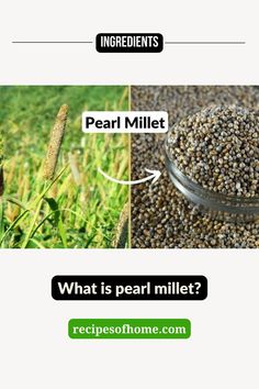 pearl millet , bajra Millet Benefits, Pearl Millet, Millet Recipes, Grain Foods, Millet