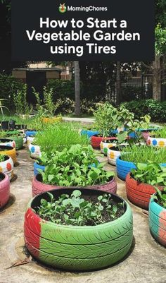 colorful garden tires with plants in them and the words how to start a vegetable garden using tires