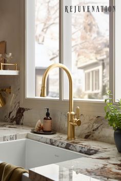 a kitchen sink with a faucet next to a window and a potted plant