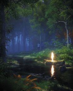 a person standing in the middle of a forest next to a river with bright lights