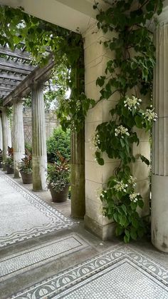 an outdoor area with columns and plants growing on the wall, along with tiled flooring