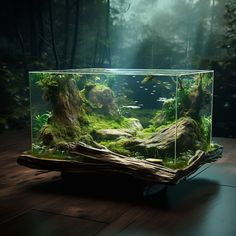 an aquarium filled with moss and rocks on top of a wooden table in the middle of a forest