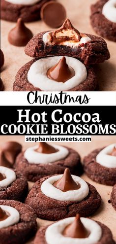 christmas hot cocoa cookie blossoms with marshmallows in the middle and frosting on top