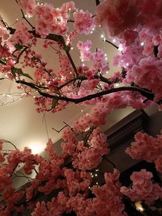 pink flowers are blooming on the branches of trees in front of a building with lights