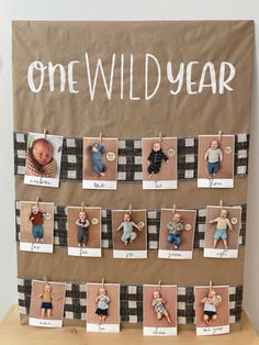 a bulletin board with pictures of babies hanging on clothes pins and the words, one wild year