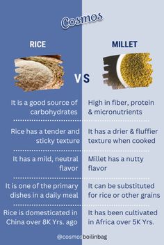 Rice vs Millet - Major differences Importance Of Millets Poster, Millets Poster Making Ideas, Benefits Of Millets, Types Of Millets, Millet Benefits, Benefits Of Rice, Nutrition Poster, Herbal Health, Food Benefits