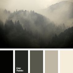 the color palette is gray and black with some white on it, while the trees are covered in fog