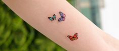 three colorful butterflies on the arm