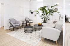 a living room filled with furniture and a potted plant in the middle of it