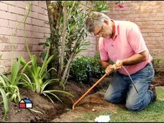 a man kneeling down in front of a tree with a garden hose attached to it