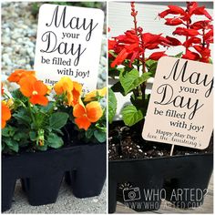 there are three different flower pots with flowers in them and one has a sign that says may your day be filled with joy