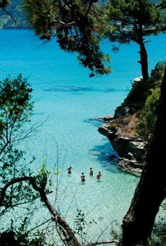 people are swimming in the clear blue water