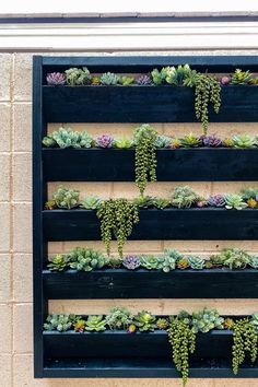 several succulents are growing on the side of a wall mounted planter