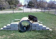 there is a bear that is playing with a tube on the grass in front of a fence