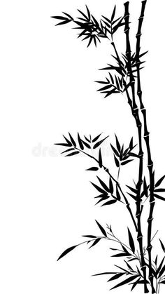 a black and white drawing of a bamboo plant