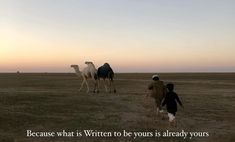 three people are walking in the desert with two camels and one is looking at something