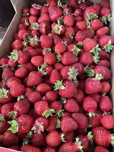 a box filled with lots of red strawberries