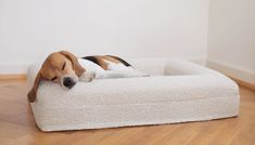 a dog laying on top of a white bed