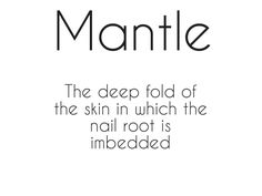 the words mante are written in black and white, with an image of a woman's face