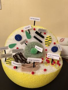 a cake made to look like a science project