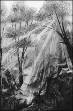 a black and white drawing of trees with sunlight coming through the leaves on it's branches