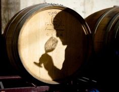 the shadow of a person standing next to some wine barrels