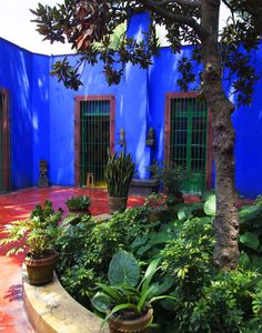 a blue building with green windows and plants