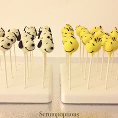 there are many cake pops that look like dogs on sticks with faces painted on them