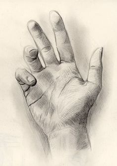 a pencil drawing of a hand holding something in it's right hand with the middle finger extended