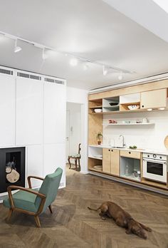 a dog laying on the floor next to a fireplace in a room with white walls