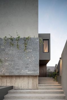 stairs leading up to a building with plants growing on the wall and in between them