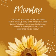 a yellow sunflower with the words monday on it and an orange watercolor background