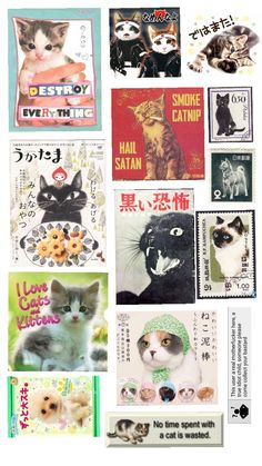 many different pictures of cats and kittens in various languages, all on one sheet