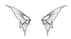 a drawing of two butterfly wings with one wing extended and the other wing down, facing each other