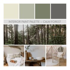 the interior paint palette calm forest