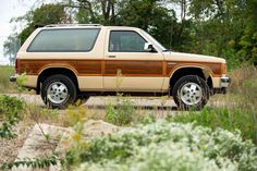 an suv is parked in the grass near some trees