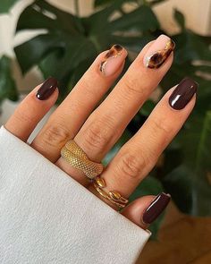 Upgrade your manicure with these classy brown nail designs that are perfect for fall! From dark neutral shades to trendy chocolate and coffee colors, these nail art ideas will keep you looking elegant all season long. Isn't this tortoiseshell design just perfect for an autumnal look? Short Brown Nails Ideas Square, Brown Short Square Nails, September Nails Square, Fall Nails 2024 Square, Brown Nail Designs Short, Square Brown Nails, Brown Nails Square, Short Square Nails Winter, Autumn Nails Square