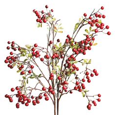 PRICES MAY VARY. Features:1.The artificial berry stems branch is suitable for many occasions, it will not fade and is very durable. It is perfect as a decoration.2.This flower branch is 27.6 inches high and it is a good home decoration when it is inserted into a vase and placed on the ground.3.Each package includes 6PCS berry picks.Specifications:Length:27.6 inchesColor: redMaterial: Plastic + foamPackage Includes:1x Artificial Berry Stems Branches Plants For Table, Filled Vases, Artificial Branches, Berry Plants, Christmas Floral Arrangements, Olive Leaf, Vase Centerpieces, Christmas Floral, Arte Floral