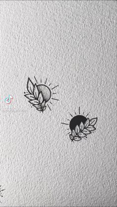 two bugs on a white wall with black ink