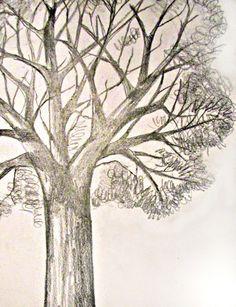 a drawing of a tree with no leaves