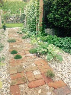 a brick path in the middle of a garden with lots of green plants on it