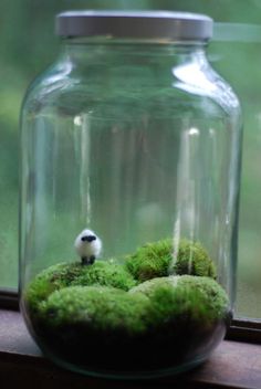 a glass jar filled with moss and a small white ball