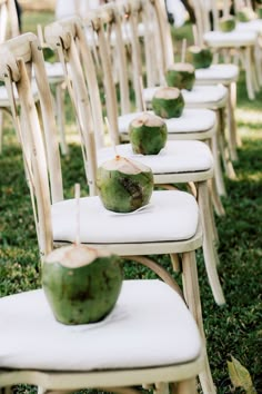 chairs lined up with coconuts on them for an outdoor wedding or reception ceremony in the grass