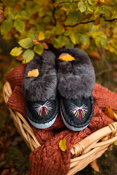 Embrace the crisp autumn air with our hand-stitched sheepskin slippers! Perfect for those chilly October mornings, ONAIE slippers are a blend of comfort and style, keeping your feet warm and cosy. Whether you’re relaxing at home or stepping out, our luxurious slippers will be your go-to this season. Check out our full range and find your perfect pair! #ONAIE #SheepskinSlippers #AutumnEssentials #CosyFeet #OctoberVibes #AutumnStyle #FallFavourites #WarmAndStylish #HandcraftedLuxury Shoes Slippers, Slipper Shoes